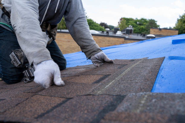 Best Metal Roofing Contractor  in Carterville, MO