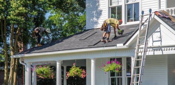 Best Roof Gutter Cleaning  in Carterville, MO